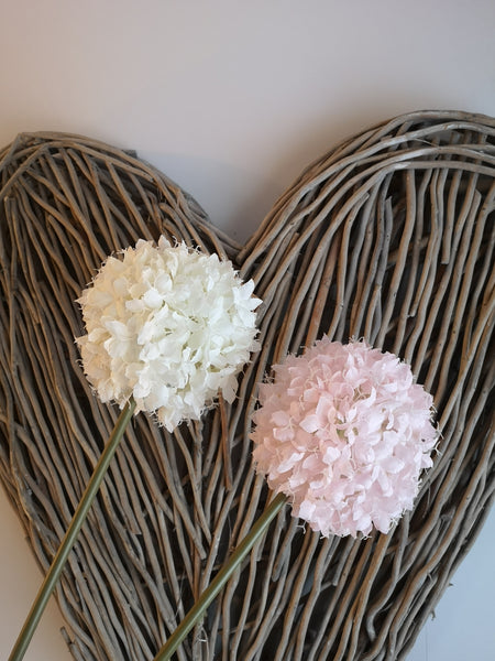 Large Snowball Flower