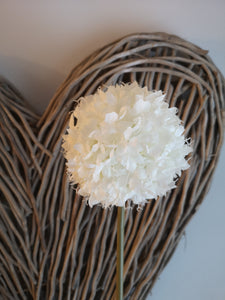 Large Snowball Flower