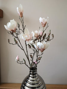 Magnolia Branch