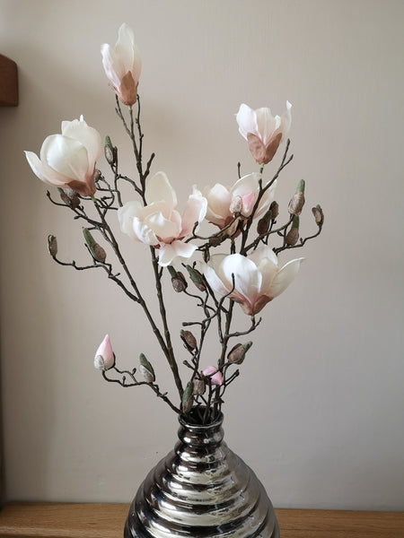 Magnolia Branch