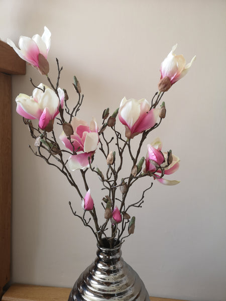 Magnolia Branch