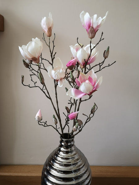 Magnolia Branch