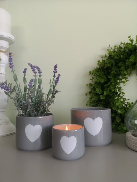 Grey Pots with White Hearts